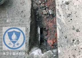 扬州漏水检测公司 - 【外网测漏】扬州派斯特公司