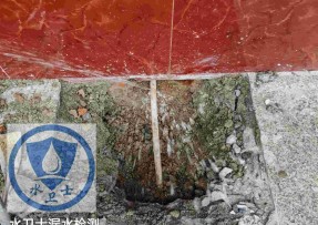 扬州漏水检测公司 - 【家庭测漏】扬州邗江区胡巷村